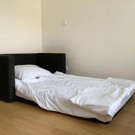 Apartman In Viktoria Zizkov