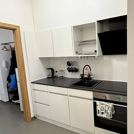 Apartmán In Viktoria Zizkov Praha